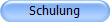 Schulung